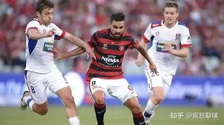 五战全胜,跳蚁军团连,续两日激战,百姓彩票,彩票投注,在线购彩,彩票平台,彩票中奖