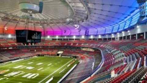 樊振东履新亮相，粉丝期待满满